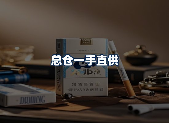 专业团队办公环境